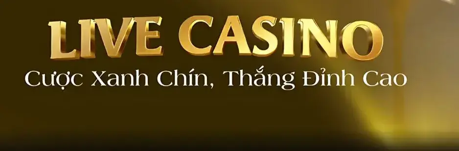 Khám Phá Live Casino Nhà Cái B29 – Trải Nghiệm Đỉnh Cao